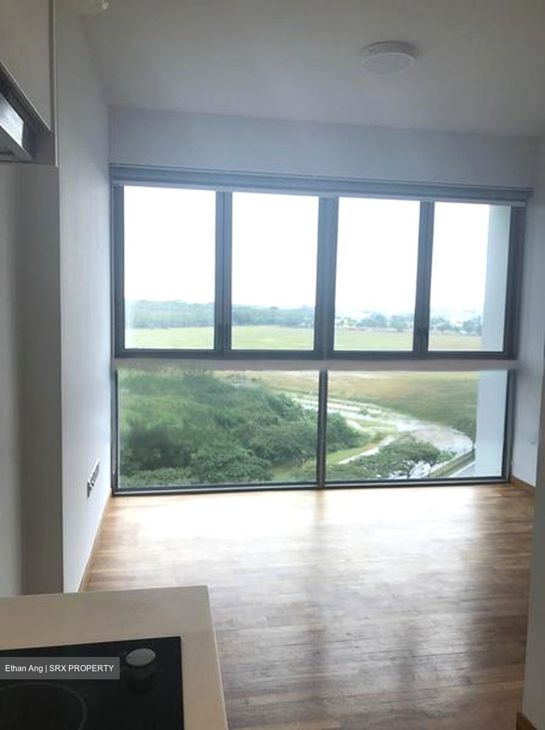 Q Bay Residences (D18), Condominium #595112191